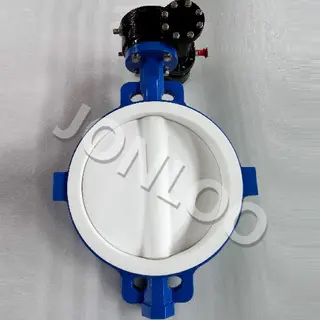 What are lined Valves